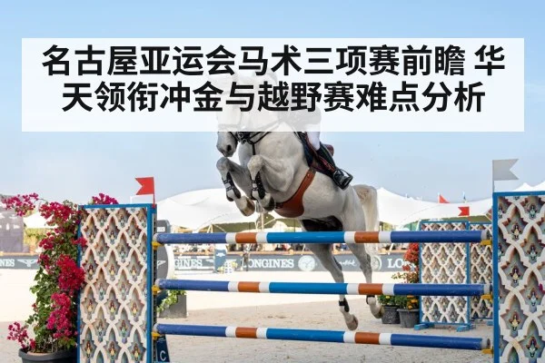 show jumping horse rider